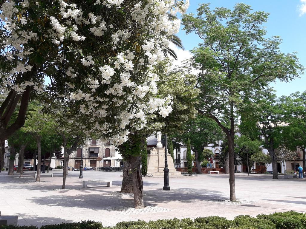 Apartamentos Sol De Mayo อูเบดา ภายนอก รูปภาพ